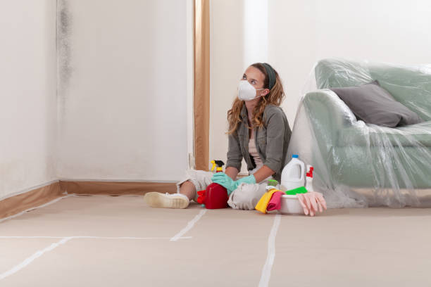 Reliable Black Mold Removal contractor in Ferndale, MD by WQB Mold Removal